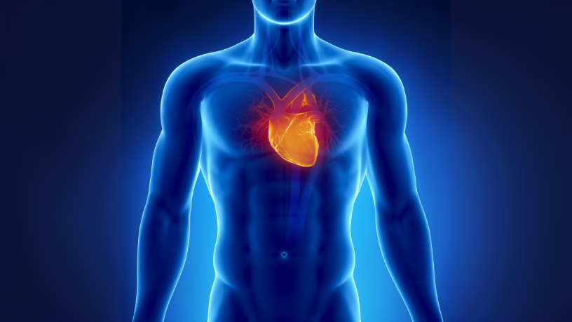A presença de doença cardiovascular em jovens está aumentando — e Dr. Gustavo Khattar de Godoy defende que a prevenção precoce é essencial para evitar complicações futuras.