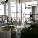 O impacto das Estações de Tratamento de Água garante potabilidade e segurança para a população, comenta a EBS – Empresa Brasileira de Saneamento LTDA.