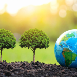 Elias Assum Sabbag Junior analisa como a responsabilidade ambiental e social no setor plástico se tornou essencial para a sustentabilidade, a reputação e a competitividade das empresas.Elias Assum Sabbag Junior analisa como a responsabilidade ambiental e social no setor plástico se tornou essencial para a sustentabilidade, a reputação e a competitividade das empresas.