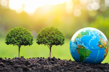 Elias Assum Sabbag Junior analisa como a responsabilidade ambiental e social no setor plástico se tornou essencial para a sustentabilidade, a reputação e a competitividade das empresas.Elias Assum Sabbag Junior analisa como a responsabilidade ambiental e social no setor plástico se tornou essencial para a sustentabilidade, a reputação e a competitividade das empresas.