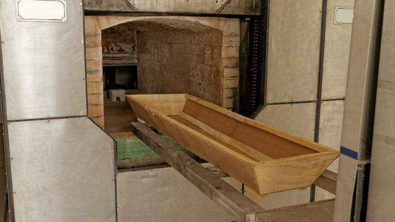 Cremação de animais como serviço sensível e regulamentado com Tiago Oliva Schietti.